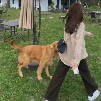 缄默的迷宫