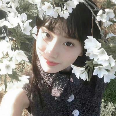 小杜丽